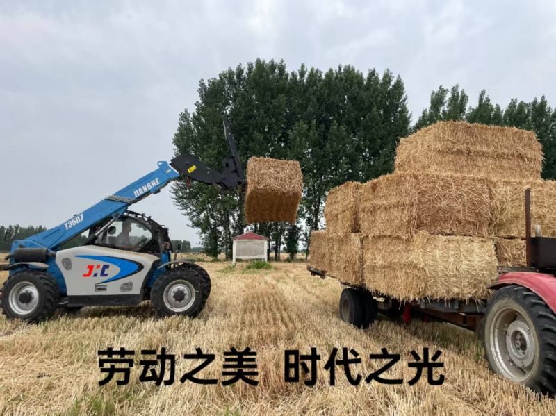 勞動(dòng)之美 時(shí)代之光